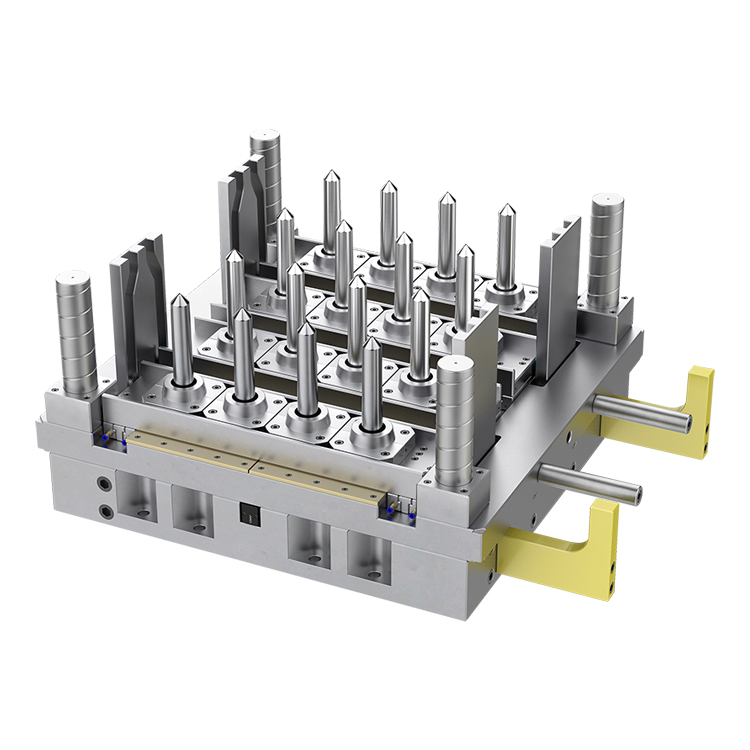 The detailed introduction about preform mold