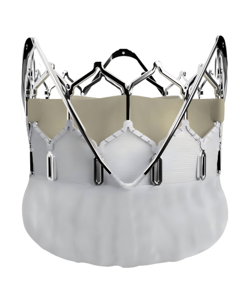 Substantial Transcatheter Aortic Valve Replacement: Benefits, Risks, and Recovery